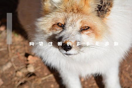 网贷注册的太多无逾期 网贷注册的太多无逾期