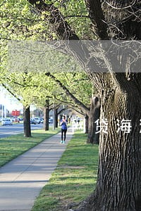 网贷海浪花逾期怎么办 网贷海浪花逾期怎么办