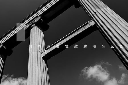 网贷消费贷款逾期怎么处理