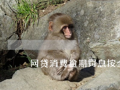 网贷消费逾期罚息按全款还是剩余