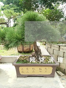 网贷清理多头贷大面积逾期 网贷清理多头贷大面积逾期