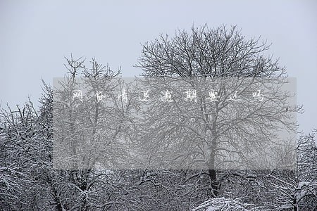 网贷清退逾期要还吗 网贷清退逾期要还吗