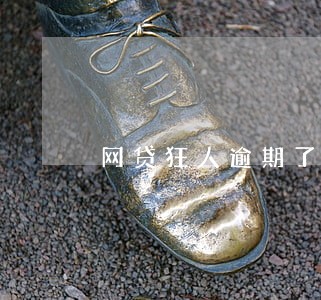 网贷狂人逾期了怎么办 网贷狂人逾期了怎么办