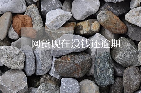 网贷现在没钱还逾期 网贷现在没钱还逾期