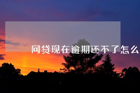 网贷现在逾期还不了怎么办 网贷现在逾期还不了怎么办
