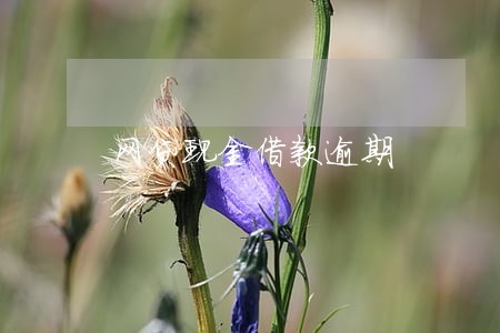 网贷现金借款逾期 网贷现金借款逾期