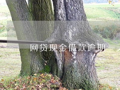 网贷现金借款逾期一天可以吗 网贷现金借款逾期一天可以吗