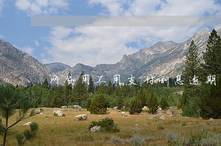 网贷用不用支付利息逾期费 网贷用不用支付利息逾期费
