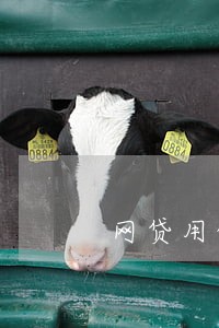 网贷用的多没有逾期可以房贷么 网贷用的多没有逾期可以房贷么