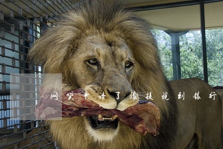 网贷申请了没提现到银行卡逾期了 网贷申请了没提现到银行卡逾期了