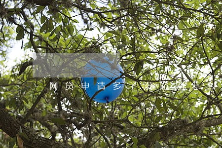 网贷申请多了没逾期怎么办 网贷申请多了没逾期怎么办