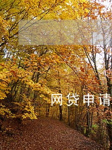 网贷申请太多征信花了没逾期
