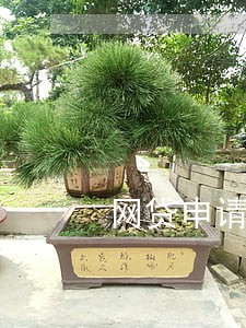 网贷申请太多次但是没有逾期 网贷申请太多次但是没有逾期