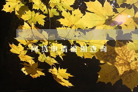 网贷申请逾期查询 网贷申请逾期查询