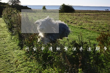 网贷申请频繁但未逾期多久消除 网贷申请频繁但未逾期多久消除