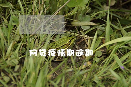 网贷疫情期逾期 网贷疫情期逾期