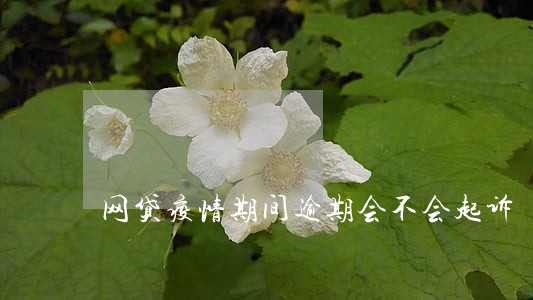 网贷疫情期间逾期会不会起诉 网贷疫情期间逾期会不会起诉