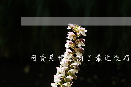 网贷疫情逾期了最近没打电话 网贷疫情逾期了最近没打电话