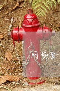 网贷登不上逾期了 网贷登不上逾期了
