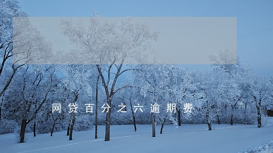 网贷百分之六逾期费 网贷百分之六逾期费