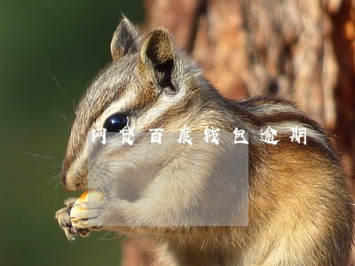 网贷百度钱包逾期 网贷百度钱包逾期
