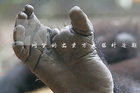 网贷的出资方是银行逾期会怎样 网贷的出资方是银行逾期会怎样