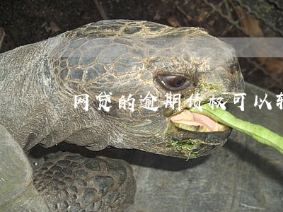 网贷的逾期债权可以转让吗 网贷的逾期债权可以转让吗