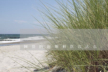 网贷的逾期利息合法么 网贷的逾期利息合法么