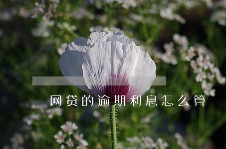 网贷的逾期利息怎么算 网贷的逾期利息怎么算