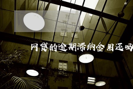 网贷的逾期滞纳金用还吗