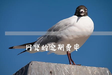 网贷的逾期费率 网贷的逾期费率