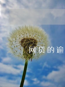 网贷的逾期费用按天计算的
