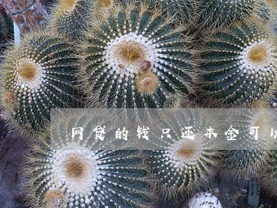 网贷的钱只还本金可以吗 网贷的钱只还本金可以吗
