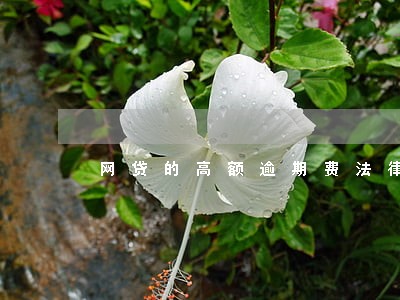 网贷的高额逾期费法律怎么解释 网贷的高额逾期费法律怎么解释