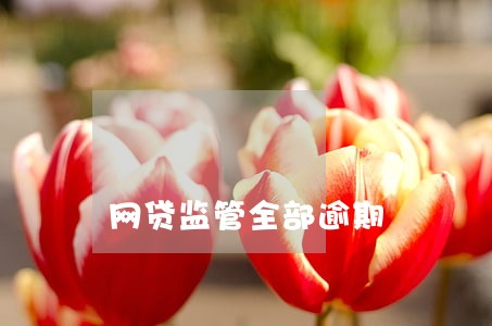网贷监管全部逾期 网贷监管全部逾期