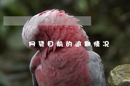 网贷目前的逾期情况 网贷目前的逾期情况