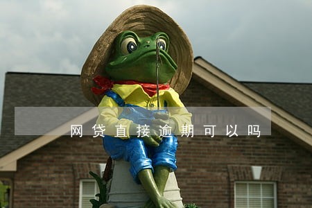 网贷直接逾期可以吗 网贷直接逾期可以吗