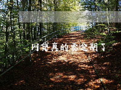 网贷真的要逾期了 网贷真的要逾期了