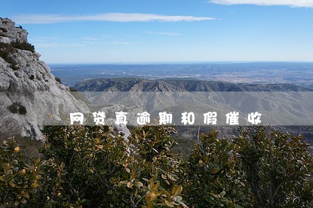 网贷真逾期和假催收 网贷真逾期和假催收