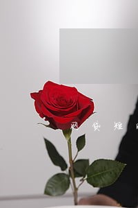 网贷短时间逾期怎么办 网贷短时间逾期怎么办