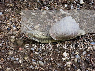 网贷短时间逾期电话应对 网贷短时间逾期电话应对