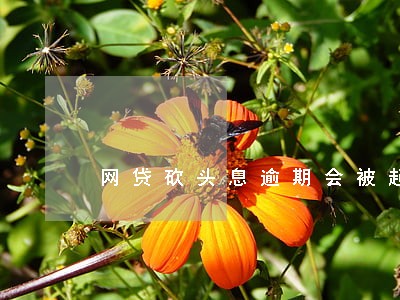 网贷砍头息逾期会被起诉吗 网贷砍头息逾期会被起诉吗