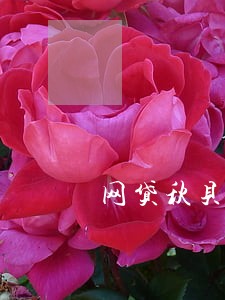 网贷秋贝逾期会怎么样 网贷秋贝逾期会怎么样