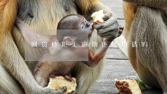 网贷秒拒无逾期还能申请吗 网贷秒拒无逾期还能申请吗