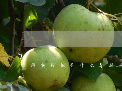 网贷秒拒是什么原因从来没逾期 网贷秒拒是什么原因从来没逾期
