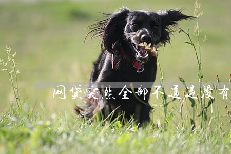 网贷突然全部不通过没有逾期 网贷突然全部不通过没有逾期