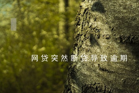 网贷突然断贷导致逾期 网贷突然断贷导致逾期