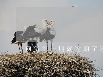 网贷第一期就逾期了还不了怎么办 网贷第一期就逾期了还不了怎么办