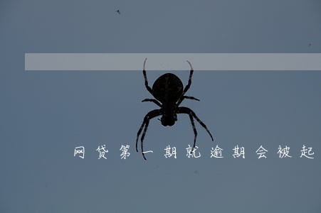 网贷第一期就逾期会被起诉么 网贷第一期就逾期会被起诉么