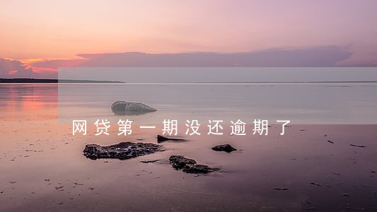 网贷第一期没还逾期了 网贷第一期没还逾期了